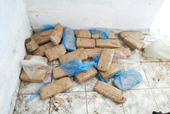 Operação do Bope apreende mais de 20 tabletes de maconha na Brejal