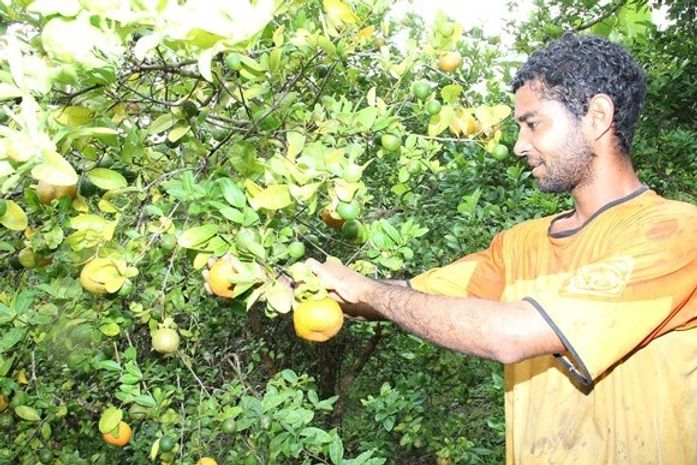 Governo entrega caminhões para apoio a agricultores na Zona da Mata