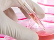 Promissora, a vacina poderá ser testada em humanos em três anos 