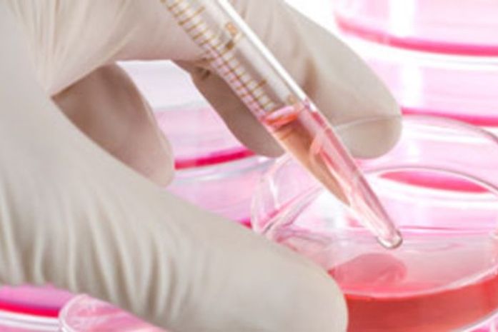 Promissora, a vacina poderá ser testada em humanos em três anos 