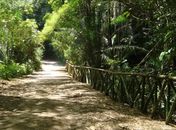 Homens assaltam Parque Municipal de Maceió e sequestram funcionário