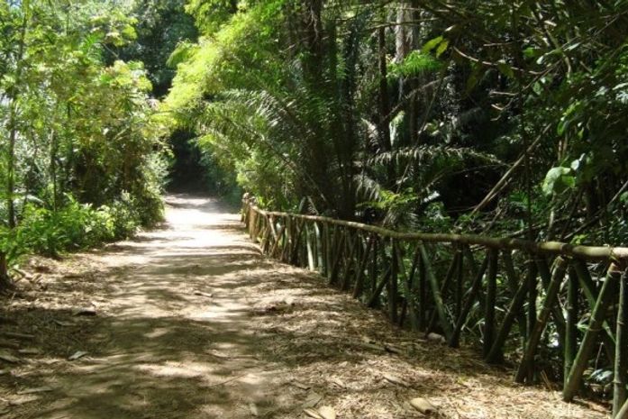 Homens assaltam Parque Municipal de Maceió e sequestram funcionário