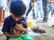 Feira para a adoção de cães