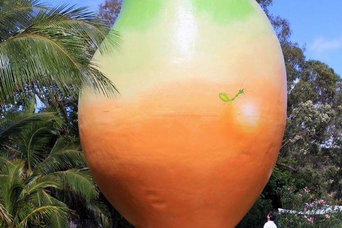 Ladrões roubam escultura de manga gigante de 7 toneladas na Austrália