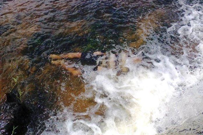 Jovens suspeitos em assaltos são encontrados mortos em água de barragem e fazenda