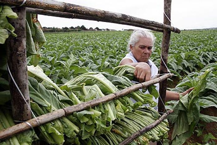 Pesquisa sobre o fumo feita em Arapiraca, será apresentada no México