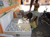 Programa do Leite atende centenas de famílias em Maragogi