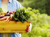 Comer frutas orgânicas não reduz risco de câncer em mulheres