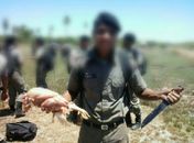 Imagens dos alunos comendo frango cru 