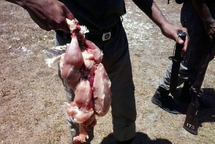 Imagens dos alunos comendo frango cru