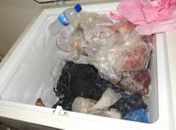 Corpo estava em seis pedaços, guardados em sacos de lixo preto junto com carne e outros alimentos 