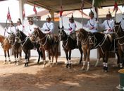 Defesa Social implanta Pelotão de Cavalaria em Arapiraca 