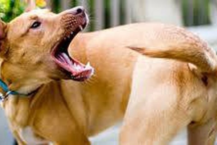 O quebra-cabeça da esquerda