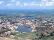 Pit Bull ataca o dono e mata em Palmeira dos Índios 