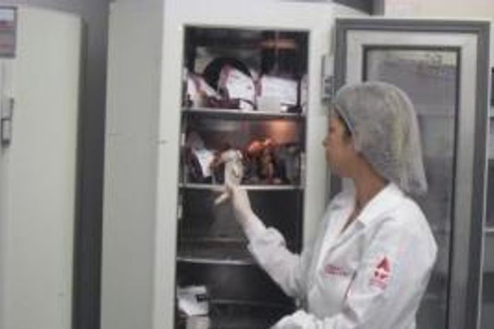 Estoque de sangue do Hemoal está baixo