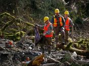 Sobe para 41 número de mortos em deslizamento em Washington