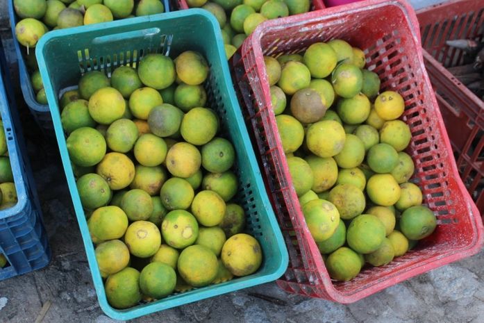 Feira Camponesa