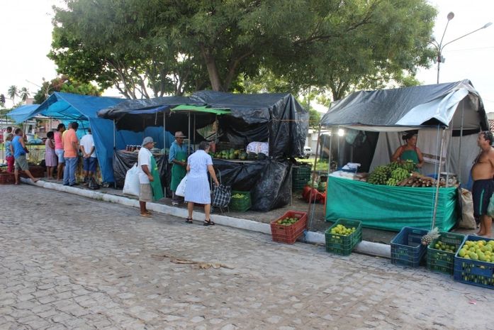 Feira Camponesa/Ilustração