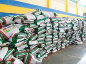 Pequenos produtores rurais recebem mais de 12 toneladas de sementes