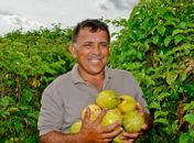 Prefeito Marlan concorre ao Prêmio Prefeito Empreendedor com ações de fortalecimento da agricultura familiar em Limoeiro