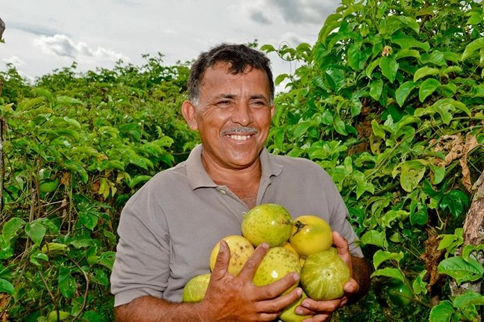 Prefeito Marlan concorre ao Prêmio Prefeito Empreendedor com ações de fortalecimento da agricultura familiar em Limoeiro