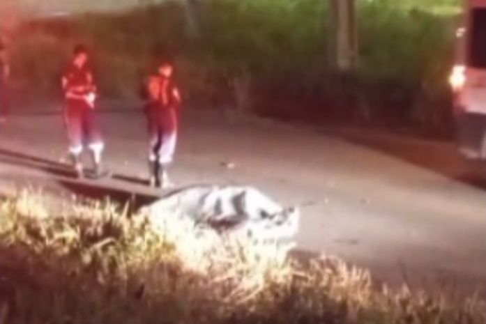 Motociclista morre após colidir com vaca na AL-485, em Arapiraca