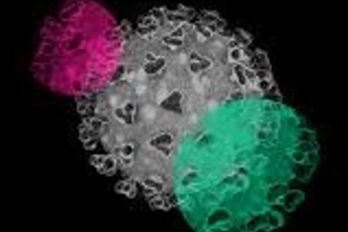 Índice avalia nacionalmente a qualidade dos dados e informações relativas à pandemia da Covid-19 disponibilizadas pelos governos estaduais.