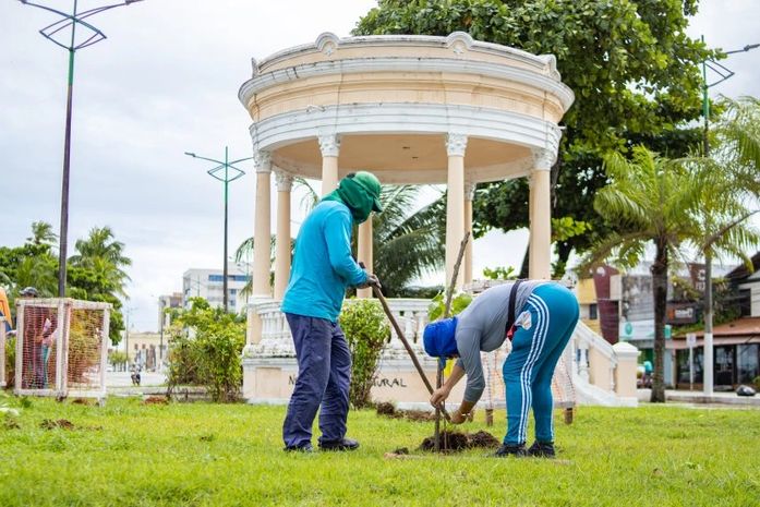 Renasce Salgadinho: Prefeitura realiza plantio de mais de 100 mudas no Centro e Jaraguá