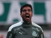 A histeria da macharada está em campo