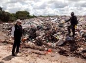 Fiscalização do MPE flagra crime ambiental e irregularidades em Penedo
