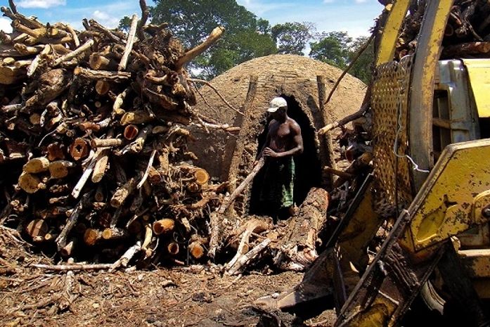 Trabalhadores que atuam em diversas atividades serão beneficiados pela medida provisória