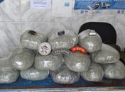 Polícia apreende mais de 10 kg de maconha em rodoviária 