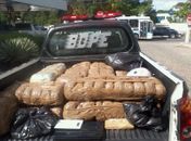 Operação do Gecoc apreende 120 quilos de maconha em residência