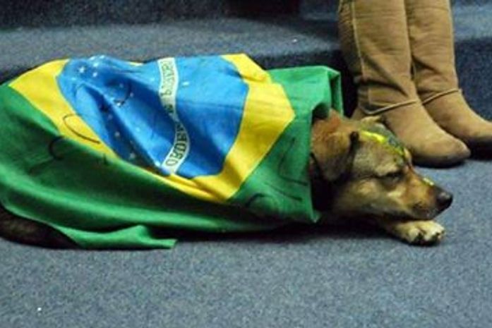 É chegada a hora: VAI TER COPA e os vira latas se recolhem