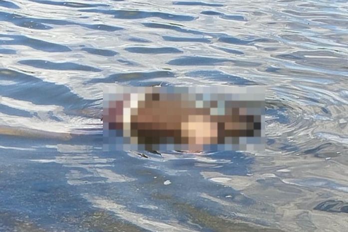 PC investiga morte de jovem encontrado com marcas de tiros no Vergel do Lago