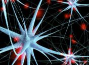 Novo exame de sangue 'pode prever Alzheimer'