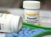 OMS recomenda antirretrovirais para gays como prevenção ao HIV