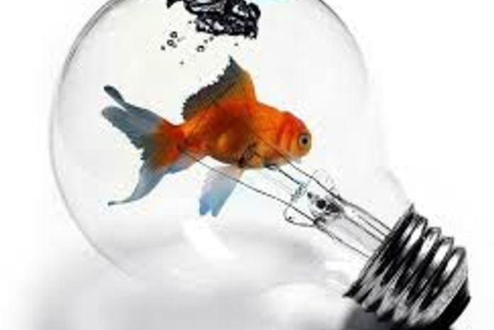 Estou Educando meus filhos para Empreender! E você?