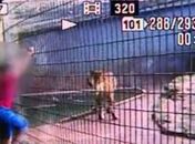 Criança teve o braço amputado