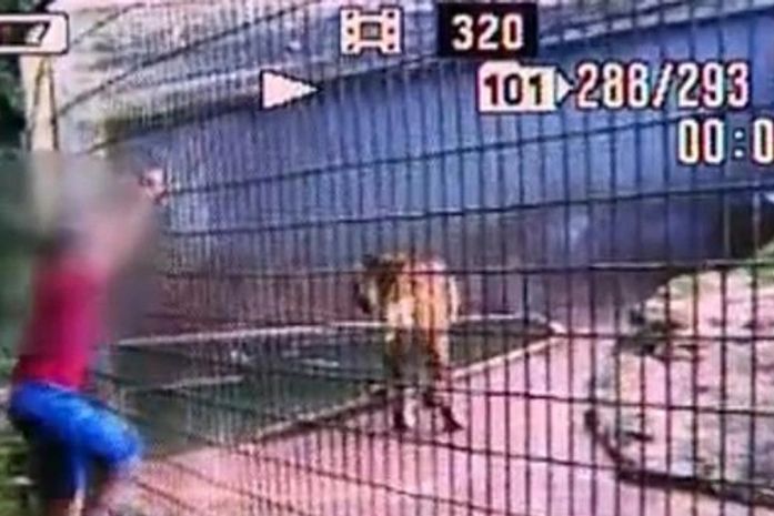 Criança teve o braço amputado