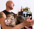Shane Wilson ganhou uma animal de estimação improvável 