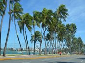 Praia Sete Coqueiros