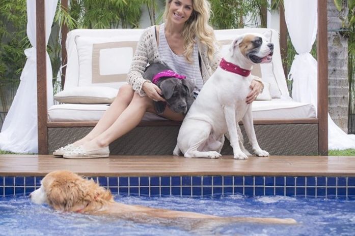 Ewbank abre a casa e brinca sobre cães: 'Bruno viaja e coloco todos na cama'