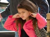 Cadelinha de Suri Cruise desaparece e recompensa é de US$ 1 mil, diz site