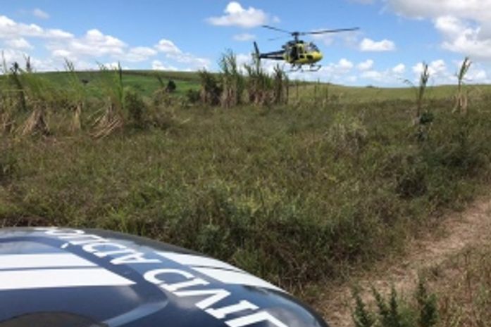 Segundo a polícia, os irmãos são acusados de matar o cunhado, um adolescente de 17 anos, em março deste ano.