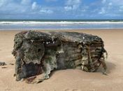 Fardos encontrados no litoral de Coruripe