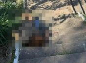 Polícia abre inquérito para investigar assassinato de mulher trans no Vale do Reginaldo
