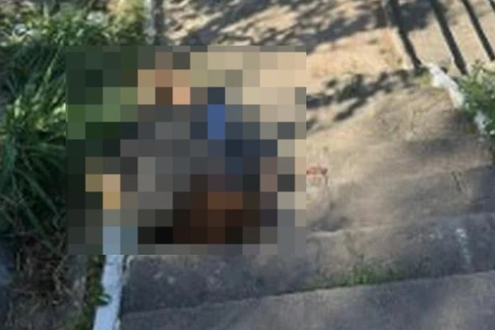 Polícia abre inquérito para investigar assassinato de mulher trans no Vale do Reginaldo