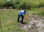 Fiscalização da Casal encontra ligações clandestinas e furto de água em adutora entre Água Branca e Mata Grande