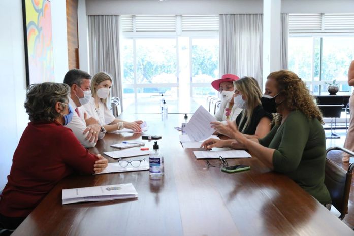 Tereza Nelma busca apoio com Arthur Lira para aprovação de projeto que garante representatividade feminina